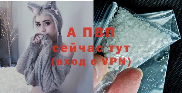 a pvp Алзамай