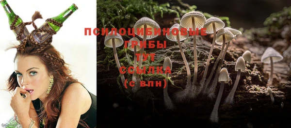 СК Алексеевка