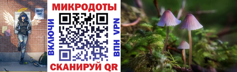 Псилоцибиновые грибы GOLDEN TEACHER Новосиль